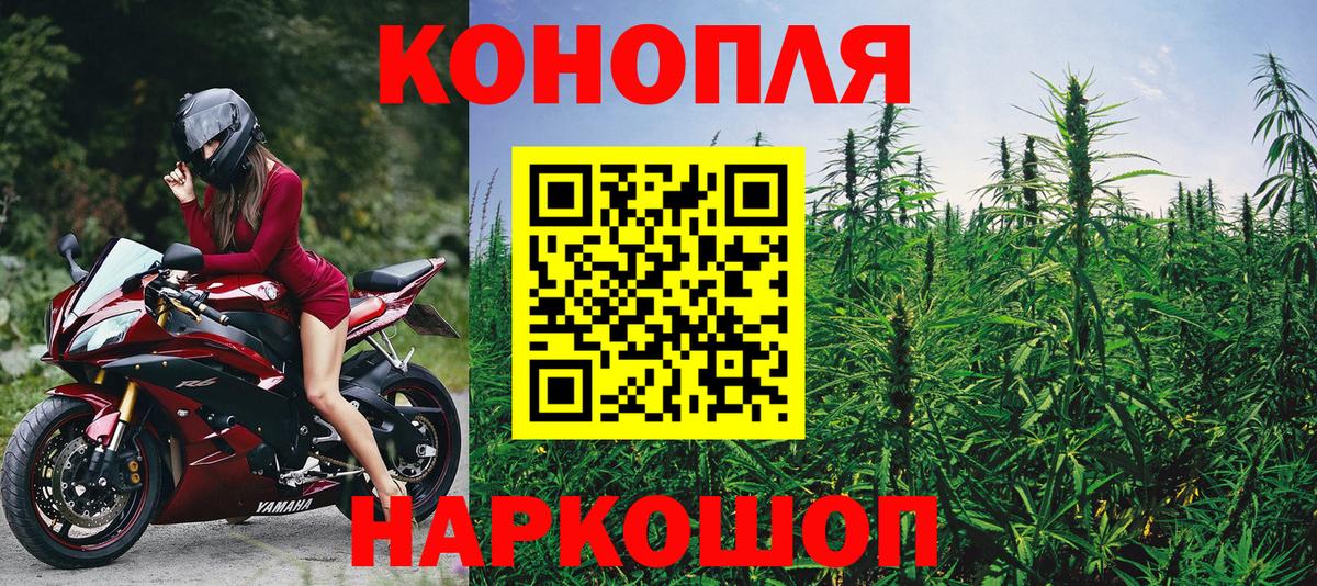 Каннабис MAZAR Борисоглебск